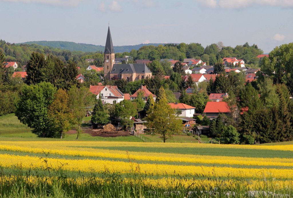 wd Rapsfeld bei Winterbach 280513 BK 3 scaled