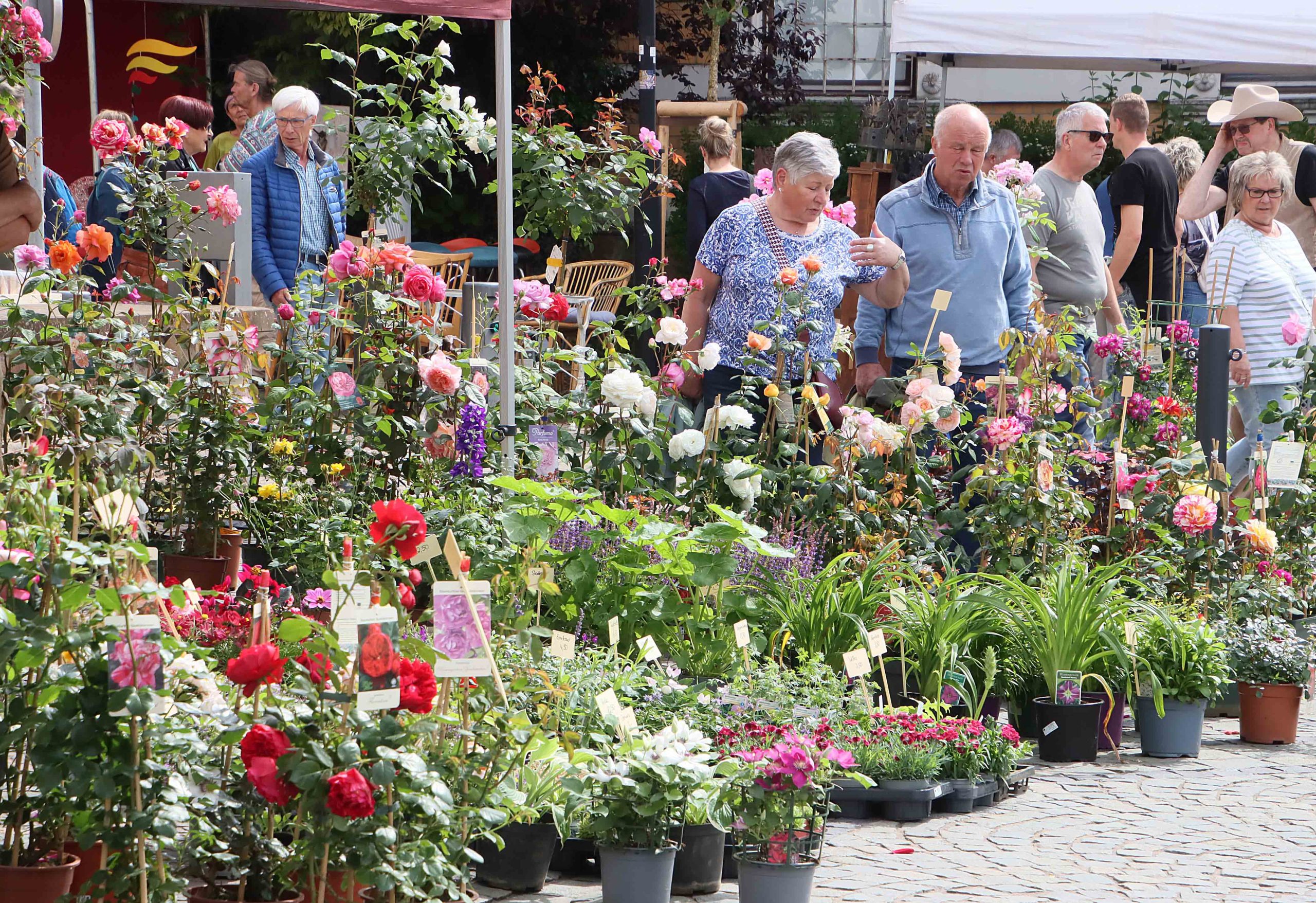 Bauern Handwerker Winzermarkt 26 05 24 bo 5 scaled