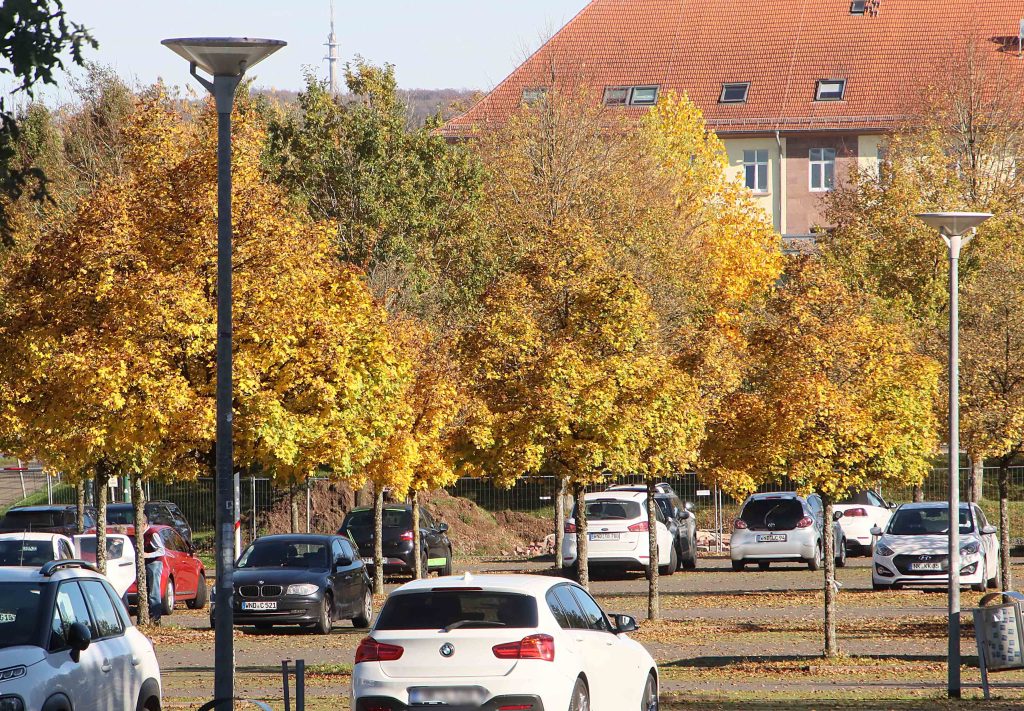 Skaterpark-Parkplatz