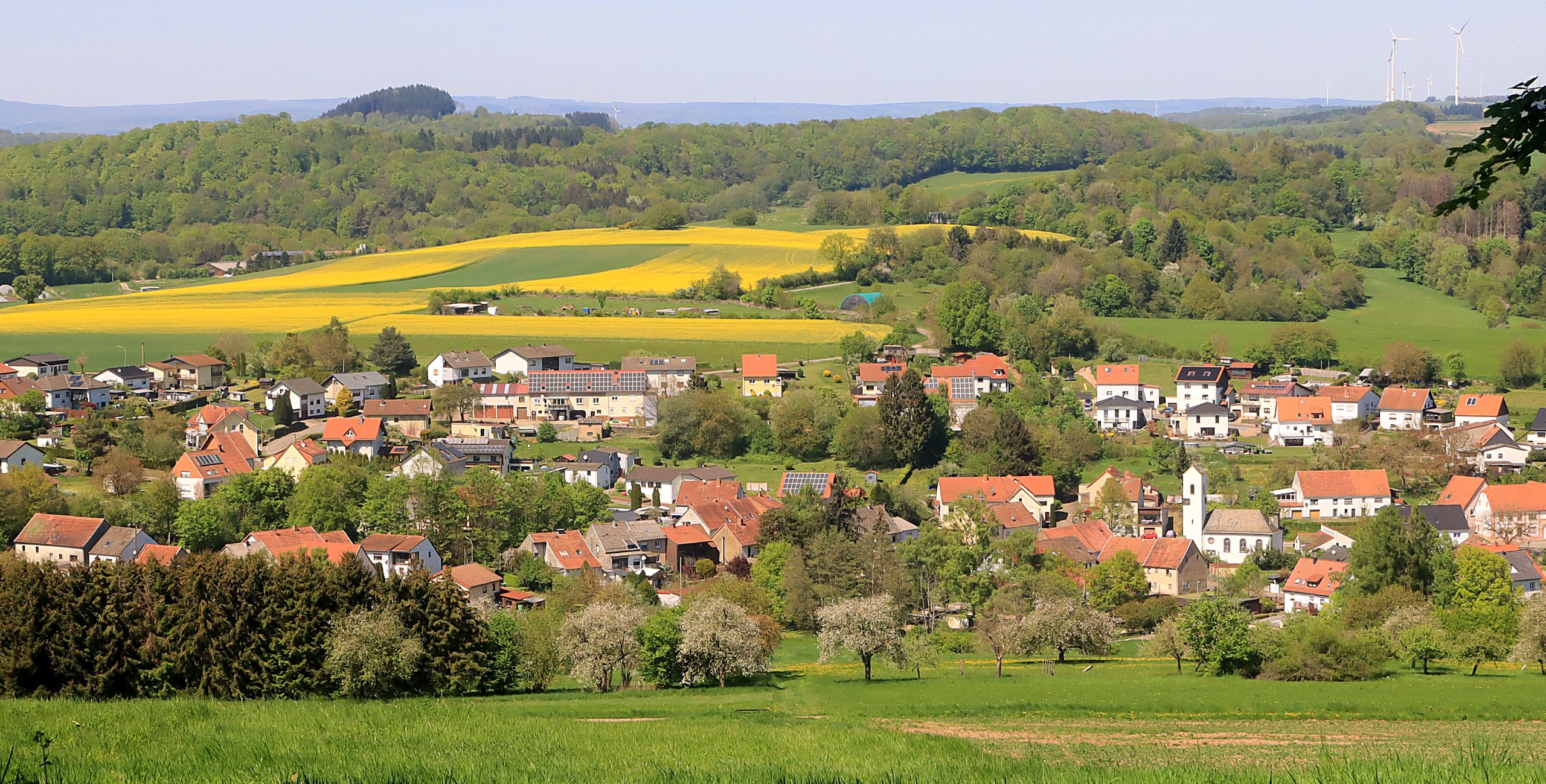 Leitersweiler- 29-04-25- bo